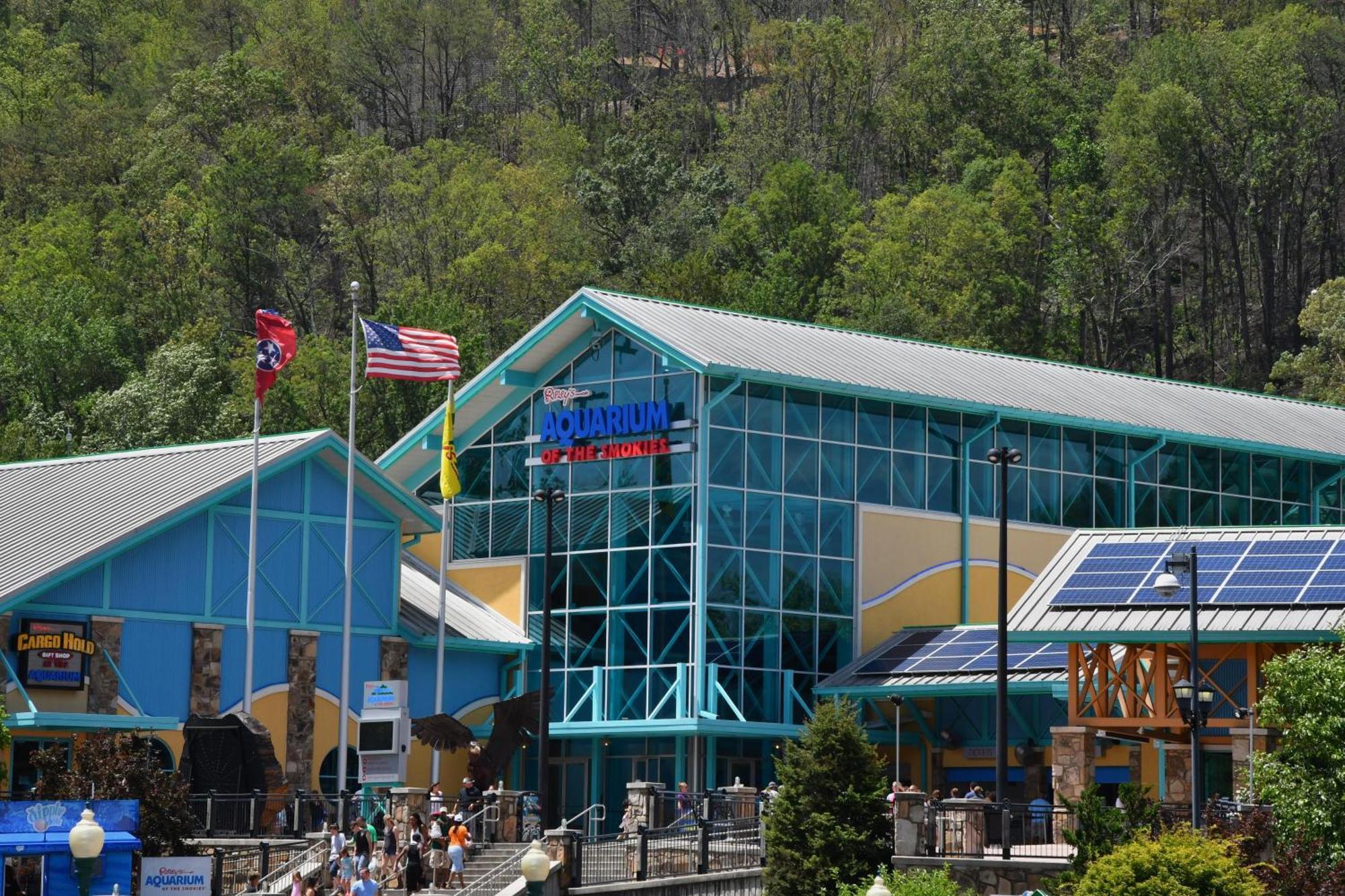 Villa Wild Thing #1525 Gatlinburg Exterior foto